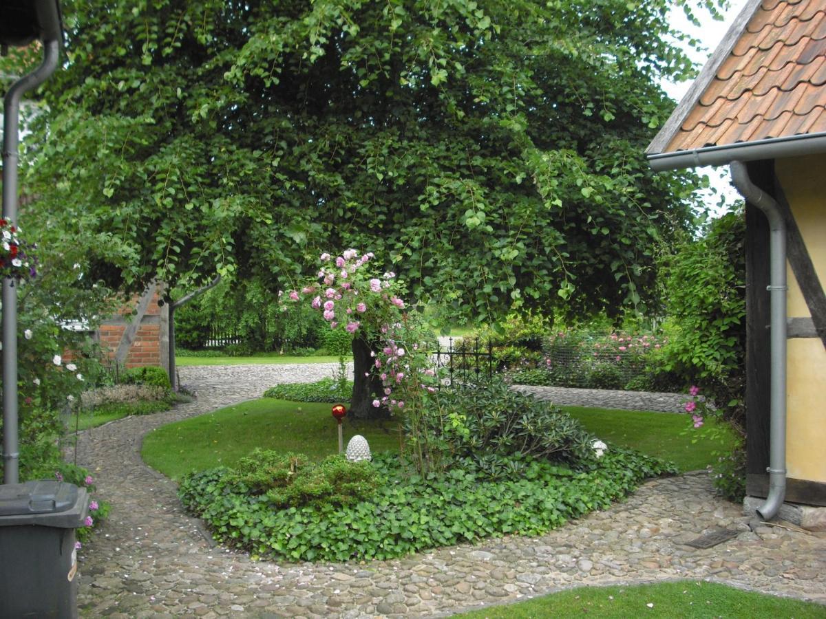 Landhaus Kiesow Suderburg ภายนอก รูปภาพ