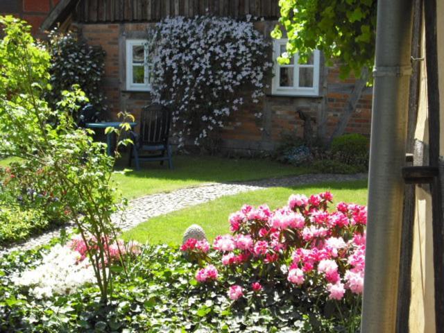 Landhaus Kiesow Suderburg ภายนอก รูปภาพ