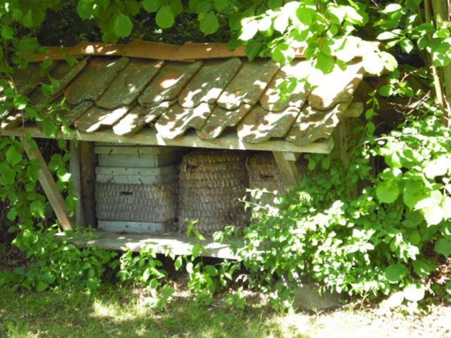 Landhaus Kiesow Suderburg ภายนอก รูปภาพ